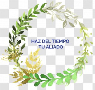 Watercolor Painting Flower Stock Photography Transparent PNG
