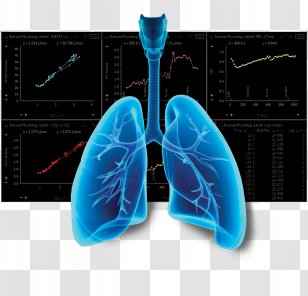 Photography Lung - Respiratory Transparent PNG