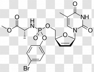Thymidine Monophosphate Adenosine Triphosphate Uridine - Silhouette - Reversetranscriptase Inhibitor Transparent PNG