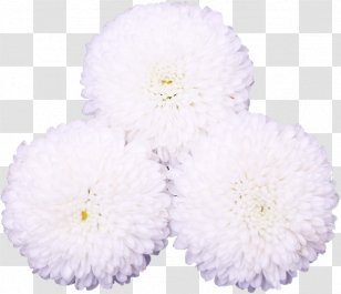 Chrysanthemum Flower Petal Wedding Dress Floral Design - Evening Gown Transparent PNG