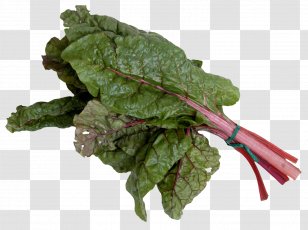 Chard Spinach Leaf Vegetable - Mangold Or Swiss Transparent PNG