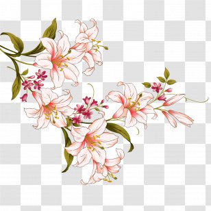 Floral Design Ink Wash Painting Flower Lilium - Lily Transparent PNG