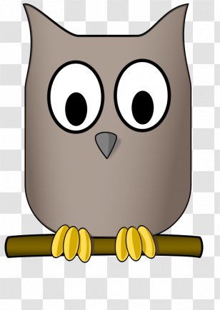 Owl Download Clip Art - Bird Of Prey Transparent PNG