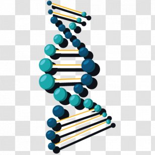 DNA Nucleic Acid Double Helix Gene Science Transparent PNG