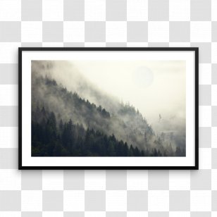 Star Wars Art Printmaking Endor Ewok - Craft Transparent PNG