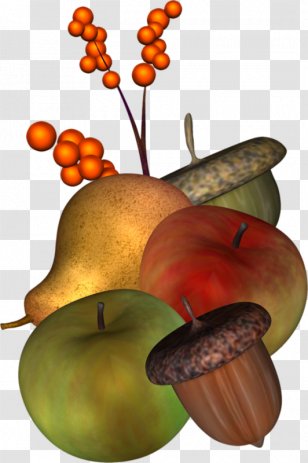 Gourd Still Life Photography - Vegetable - Apple Tree Fruit Nut Transparent PNG