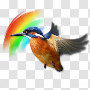 The Old Slaughterhouse 2016 Stratford Festival Escape Arts Dawn Lodge Associates Business Improvement District - Bird - Local Attractions Transparent PNG