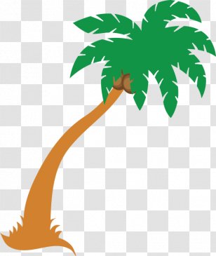 Palm Tree Background - Plant Stem - Arecales Transparent PNG