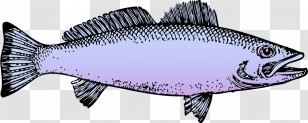 Oily Fish Sardine Milkfish Fish Barramundi Transparent PNG