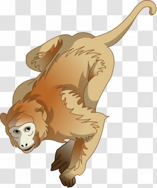 Lion Macaque Primate Monkey Illustration - Fictional Character - Cartoon Transparent PNG