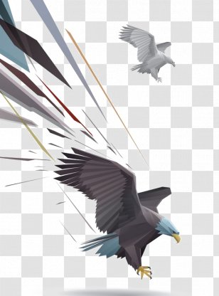 Bald Eagle Drawing Illustration - Cartoon Transparent PNG
