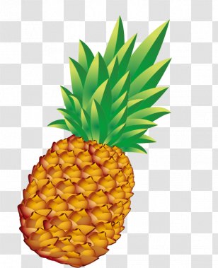 Pineapple Bun Euclidean Vector - Drawing - Free Stock Buckle Transparent PNG