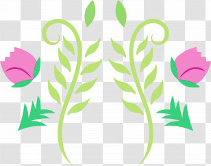 Leaf Flower Petal Green Tree Transparent PNG