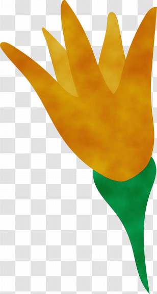 Leaf Yellow Plants Biology Science Transparent PNG