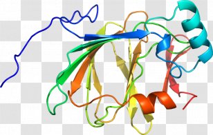 Art Organism Point Clip - Area - Glucose 6phosphate Transparent PNG