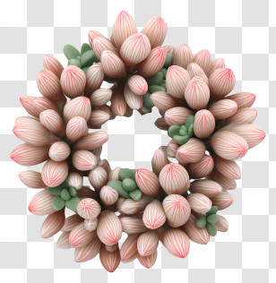 Elegant Pink Element - Pink Succulent Wreath Transparent PNG