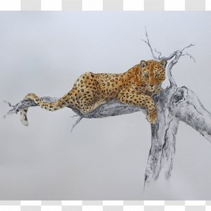 Leopard Cheetah Cat Fauna Terrestrial Animal - Siesta Transparent PNG