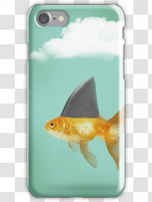 IPhone 7 Rockstar 6S Stoney Congratulations - Feeder Fish - Red Goldfish Transparent PNG