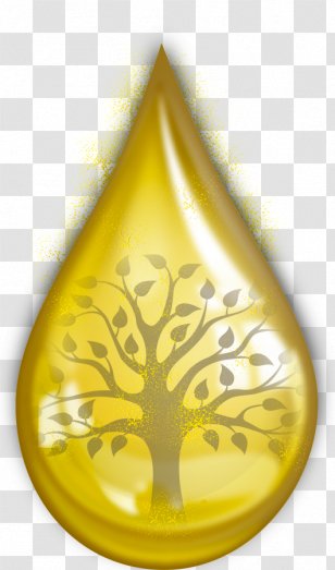 Argan Oil Huile Alimentaire Skin - Hair Care Transparent PNG