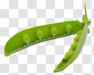 Snap Pea Icon - Legume Transparent PNG