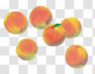 Watercolor Painting Download - Computer - Hand-painted Peach Buckle Free Photos Transparent PNG