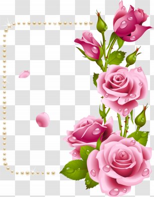 Grandfather's Day Grandmother's Teacher - Rose Family - Water Color Flowers Transparent PNG