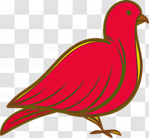 Birds House Sparrow Toucans Ducks Beak Transparent PNG