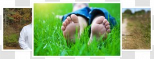 Lawn Foot Nail Therapy Fungus - Care Transparent PNG