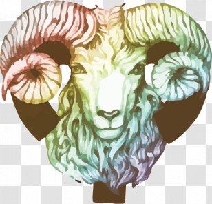 Argali Bighorn Sheep Goats - Aries - Goatantelope Transparent PNG
