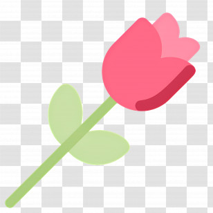 Rose Flower - Pink Tulip Drawing With Green Stem Transparent PNG