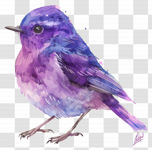 Purple Bird - Purple Bird Watercolor Art Transparent PNG