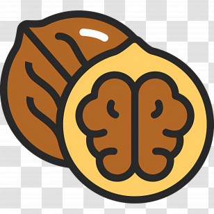 Walnut - Illustration Of A Walnut With Shell Transparent PNG