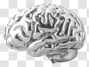 Silver Brain - 3D Metallic Brain Illustration Transparent PNG