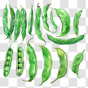 Green Beans - Different Shapes Of Green Pea Pods Transparent PNG