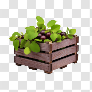 Plum - Wooden Crate Filled With Fresh Plums Transparent PNG