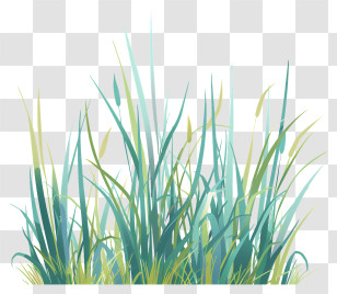 Grass - Illustration Of Green Grass Blades Transparent PNG