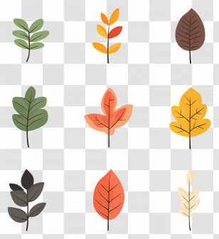 Fall Leaves - Colorful Autumn Leaves Illustration For Seasonal Design Transparent PNG