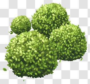Bushes - Green Bushes In Garden Transparent PNG