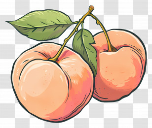 Peaches - Juicy Peaches With Leaves Transparent PNG