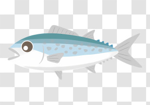 School - Simple Blue Fish Illustration Design Transparent PNG