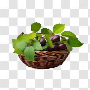 Plum - Wicker Basket With Fruits And Leaves Transparent PNG