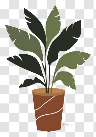 Plant - Potted Houseplant With Green Leaves Transparent PNG