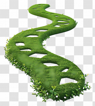 Pathway - Winding Green Pathway Transparent PNG