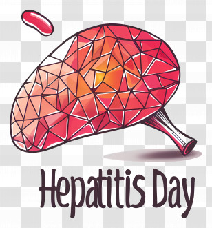 World Hepatitis Day - Stylized Liver For World Hepatitis Day Transparent PNG