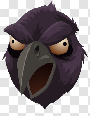 Ravens Logo - Angry Cartoon Bird Face Illustration Transparent PNG