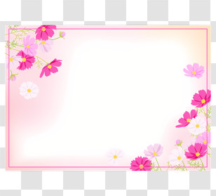 Cosmos Flower Frame - Pink Floral Frame Transparent PNG