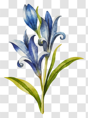 Watercolor Painting - Beautiful Blue Flower In Bloom Transparent PNG