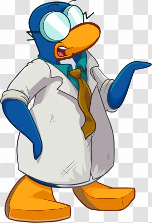 Bear, Club Penguin, Club Penguin Elite Penguin Force, Club Penguin Island,  Herbert P Bear, Bird, Toucan, Cartoon png