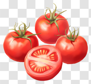Tomatoes - Juicy Red Tomatoes With A Sliced Piece Illustration Transparent PNG
