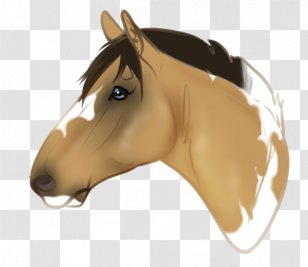Mane Mustang Pony Halter Stallion - Horse Tack Transparent PNG